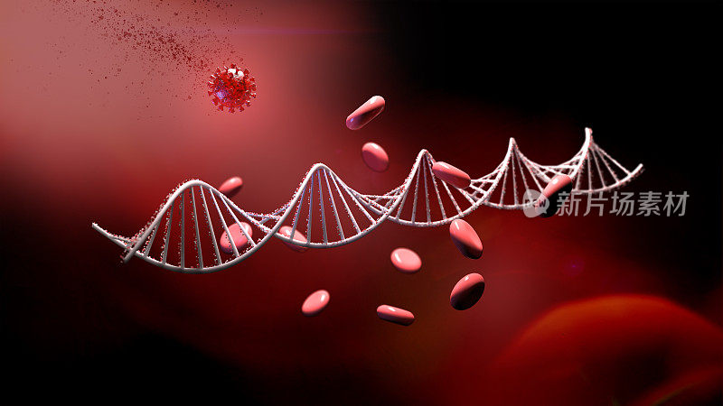 DNA链和癌症/病毒细胞